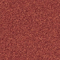 Ковровая плитка Interface Biosfera Boucle 7881 Ferro Rosso фото 1 | FLOORDEALER